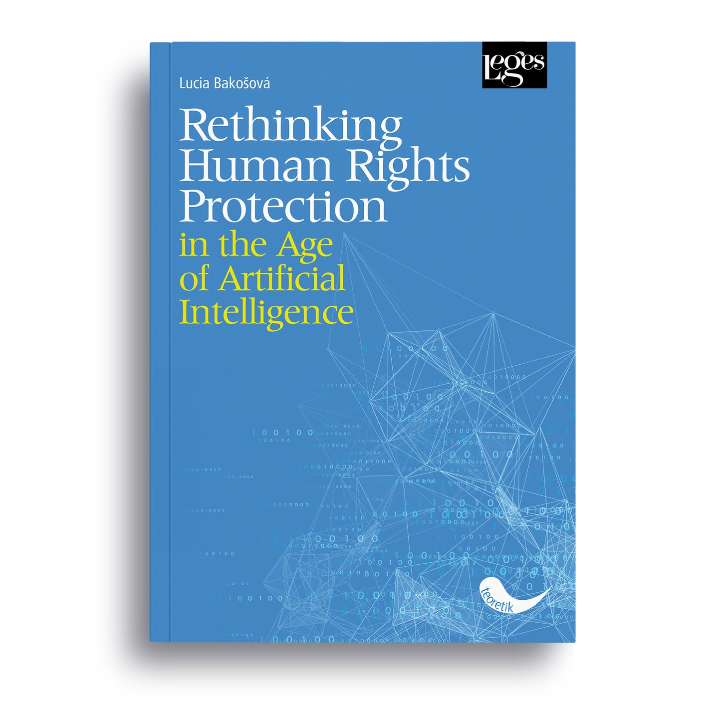 Rethinking Human Rights Protection