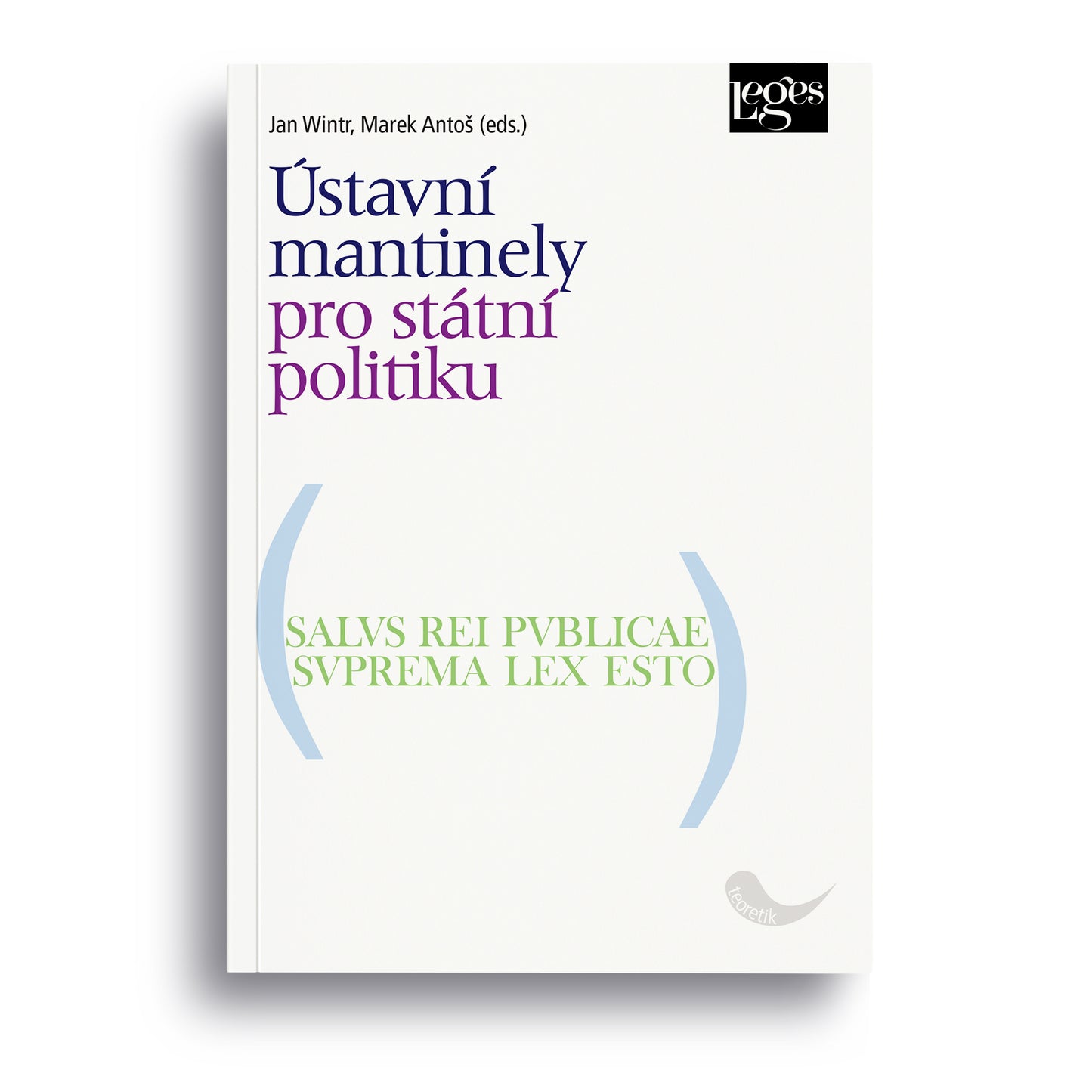 Ústavní mantinely pro státní politiku