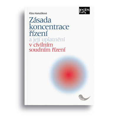 Zásada koncentrace řízení